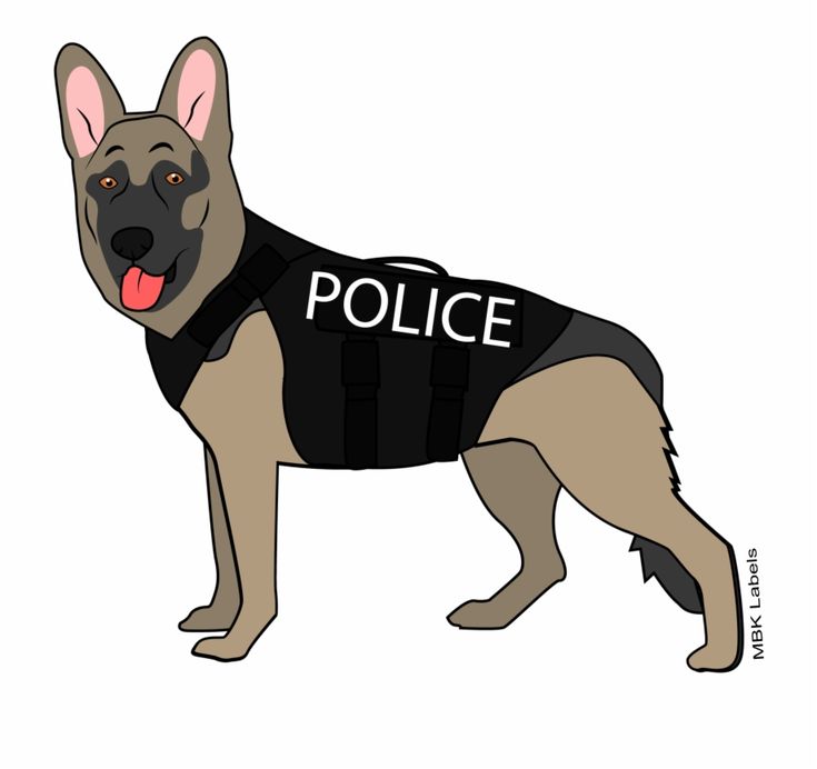 MET Police – Meet a Dog day!